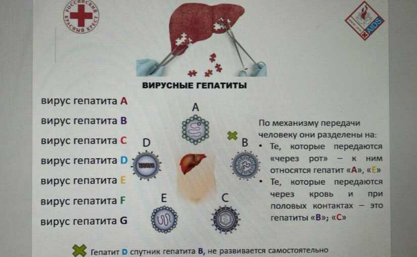 С 22 по 28 июля в России проводится Неделя профилактики заболеваний печени в честь Международного дня борьбы с гепатитом